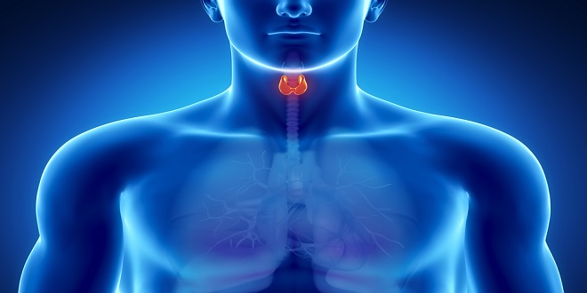exercises to keep thyroid gland working