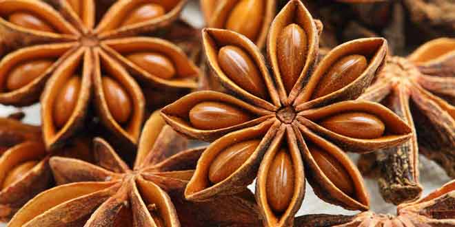 amazing benefits of anise
