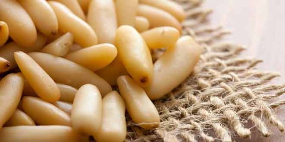 eat pine nuts in winter and stay healthy forever