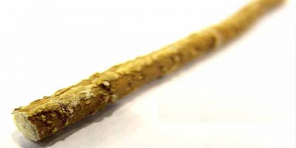 use miswak and stay away from all dental problems