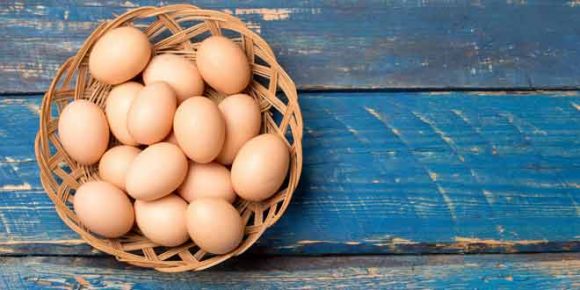 eat-oranic-eggs-this-winter