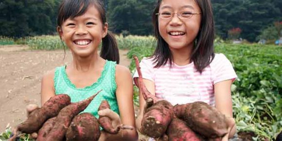 sweet potato for kids health