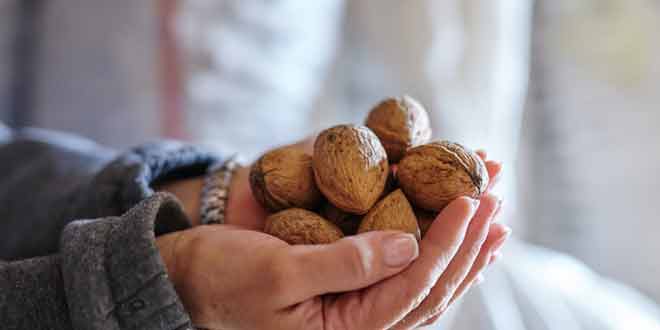 7 foods increase mental abilties