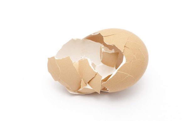 Egg Shell benefits