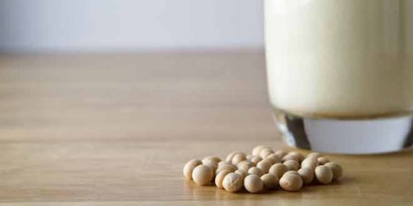 method to prepare soy milk at home