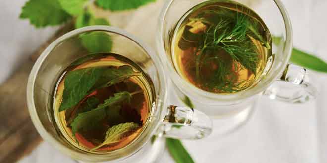 green tea for healthy body and skin