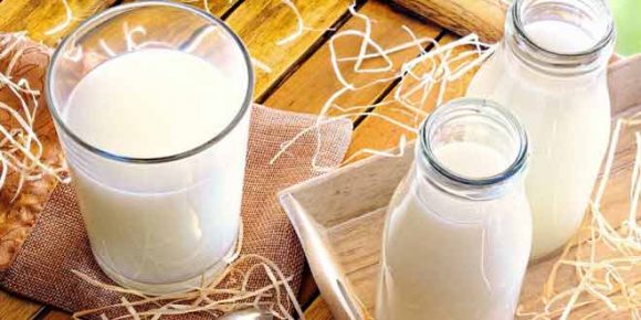 health benefits of cow's milk