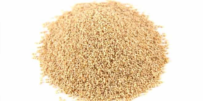 خشخاش کے بیج