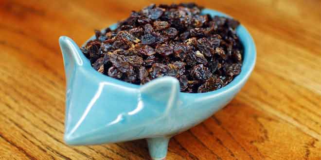 benefits of raisins for kids