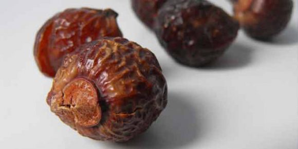 amazing benefits of soap nuts