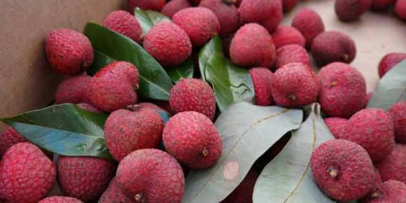 eat lychee avoid 7 health issues