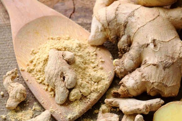 east-ginger-to-avoid-body-aches