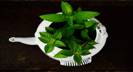 herbs-uses