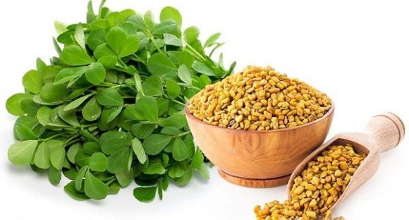 7 Herbs That Are Widely Used for Home Remedies!3