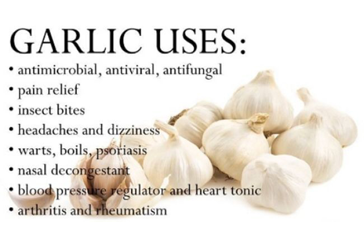 Garlic перевод на русский