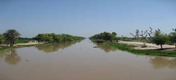 Dilapidated Bridge Over Haveli Canal In Toba Tek Singh Could Lead To Accidents - HTV