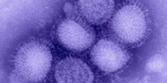 Kashmir: Deadly H1N1 Influenza Virus Takes Life of 6