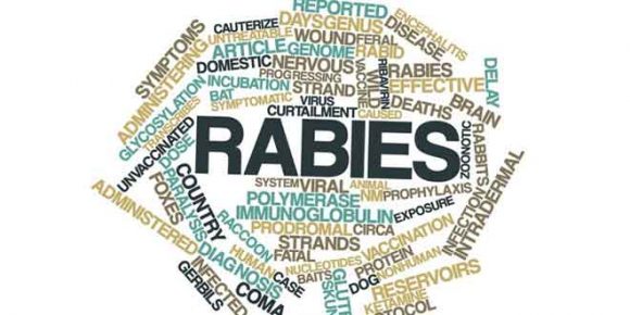 Global Report: 59 Thousand Deaths Annually Due to Rabies