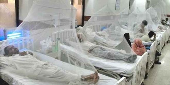 Dengue Outbreaks