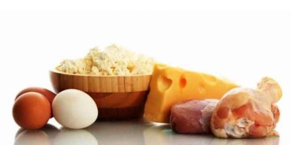 How Much Protein Is Too Much? - HTV