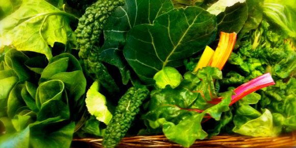 All the Health Benefits of Green Vegetables