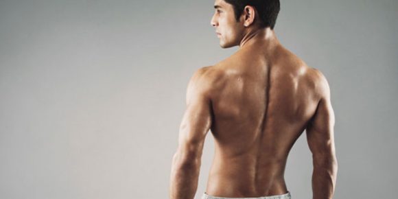 A Complete Guide to Back Muscle Anatomy and Workouts - HTV