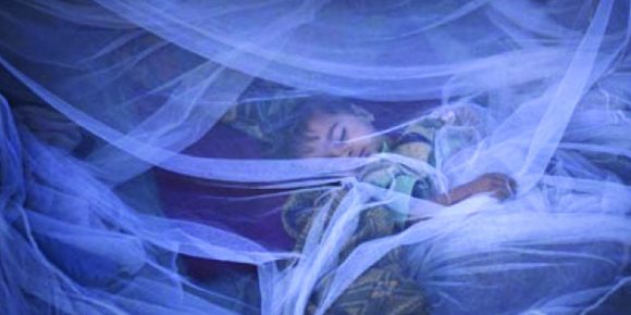 WHO reports dramatic fall in malaria deaths - HTV