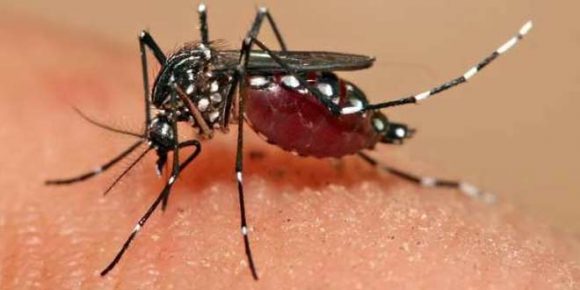 People advised not to get panicky about Zika virus - HTV