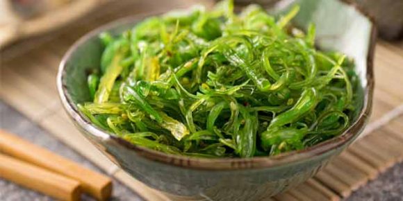 Adding seaweed to processed food is good for our health - HTV