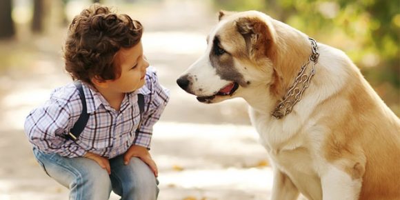 pet dog benefits