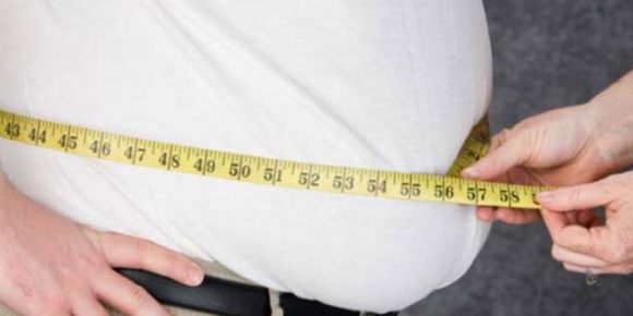overweight lifespan negatives