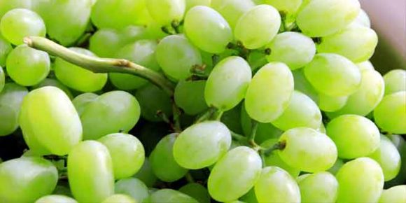 Amazing Health Benefits of Grapes