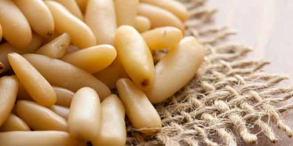Incredible Health Benefits of Pine nuts