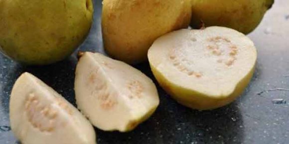 Amazing Benefits of Guava You Need to Know