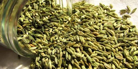 Amazing Reasons Why You Should Eat Fennel Seeds