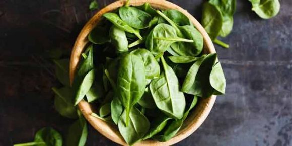 6 Foods that can Maximize Your Iron Absorption