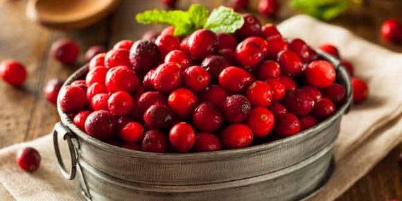 Foods to Fight and Prevent Urinary Tract Infections