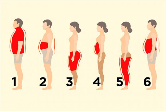 6 Types Of Body Fats And What You Need To Know About Them!