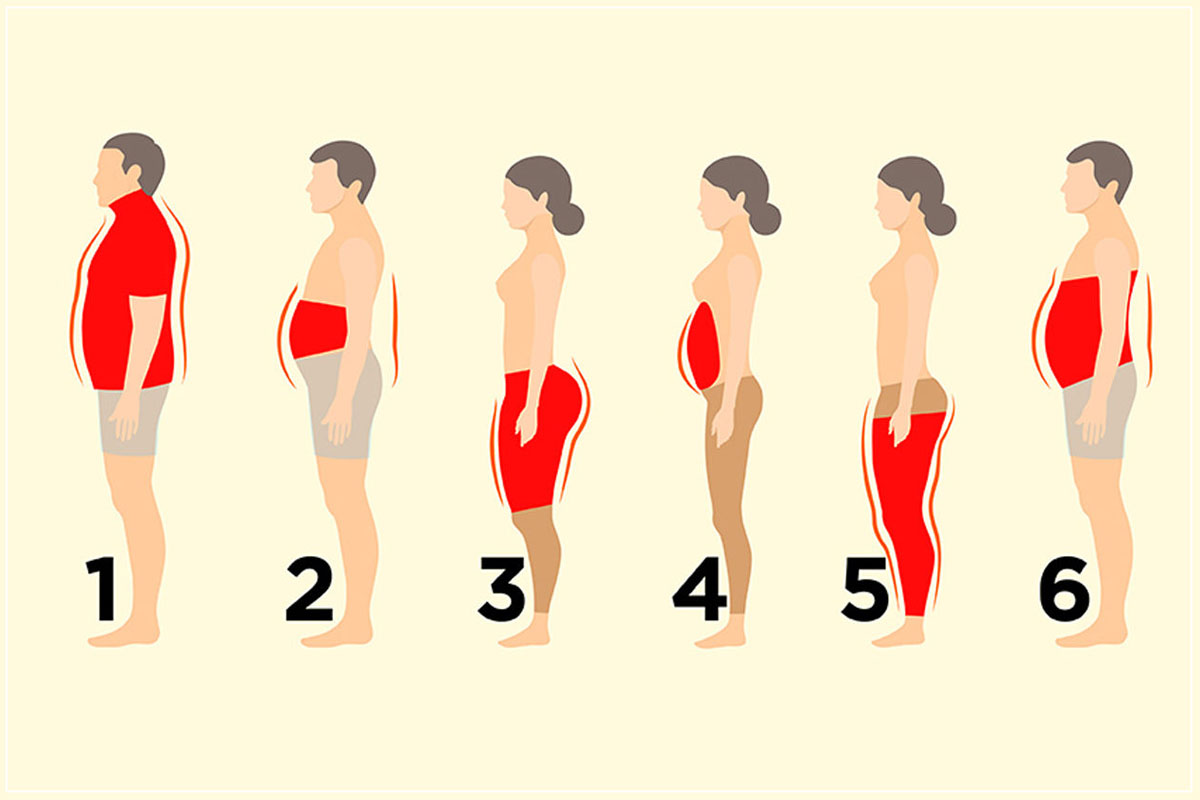 6 Types Of Body Fats You Need To Know Htv 