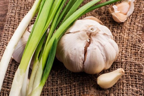 7 Tips to Get Rid of Garlic Breath