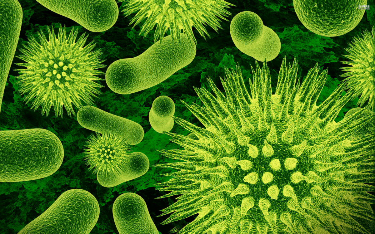 Bacterial Infections Overview, Symptoms, Diagnosis and Treatment HTV