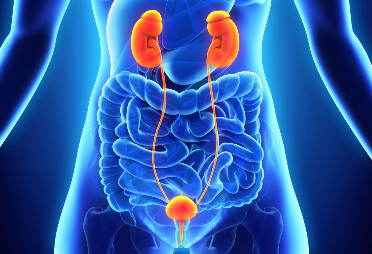 Bladder Cancer: Overview, Symptoms, Diagnosis and Treatment - HTV