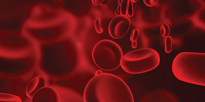 Blood Diseases: Overview, Symptoms, Diagnosis and Treatment - HTV