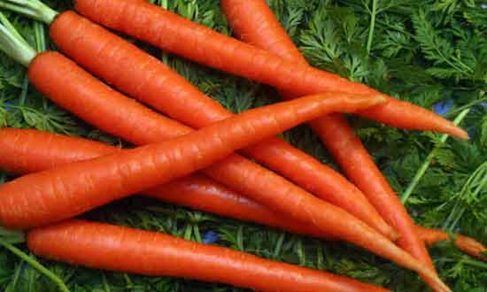 Carrots can Make You Look Beautiful