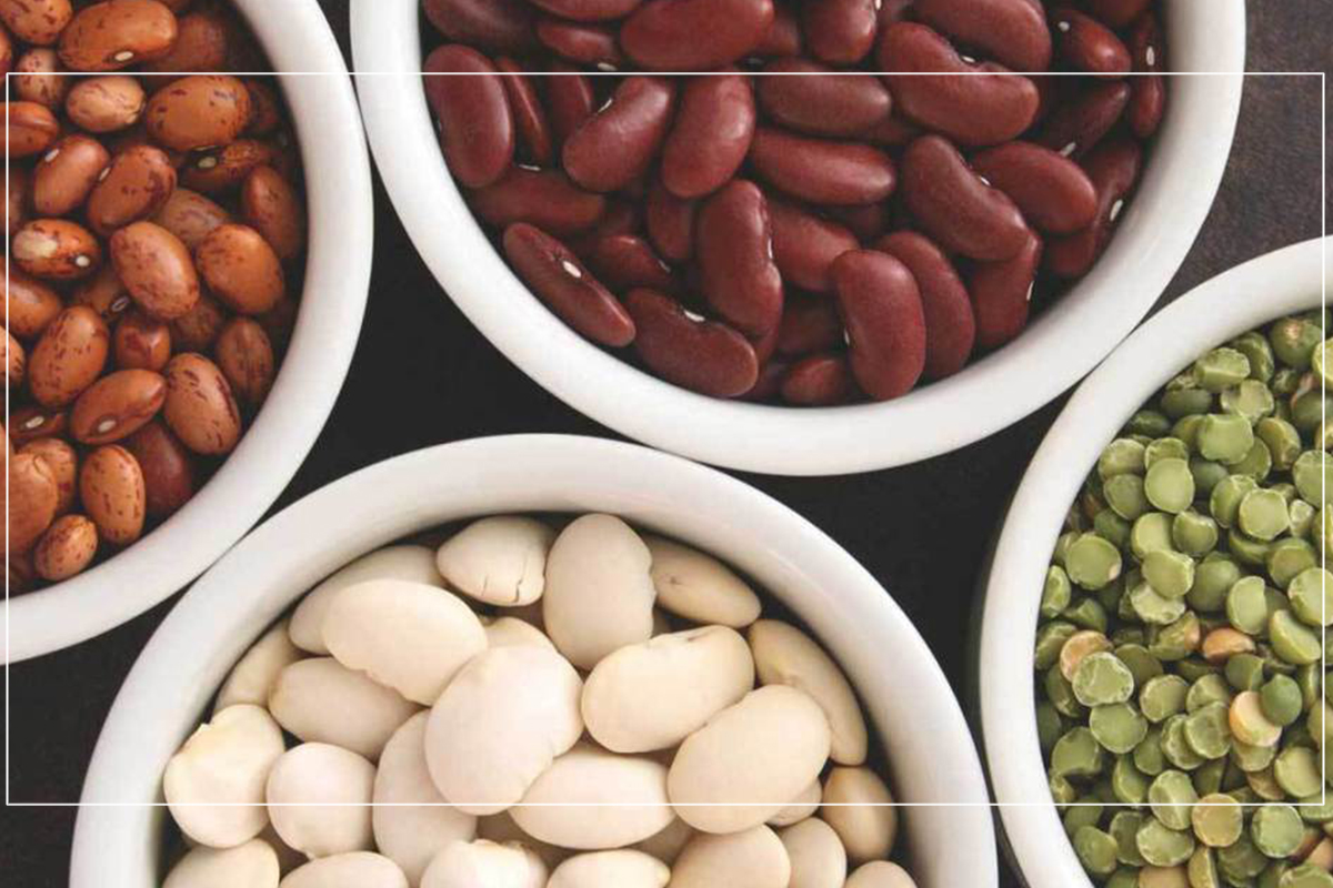 Eat Beans to Fight Cancer HTV