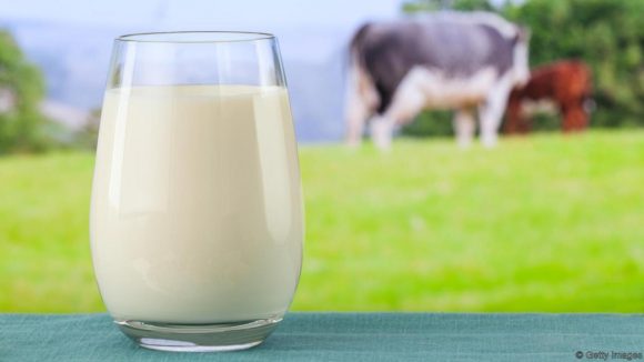 Benefits of Milk in your Diet