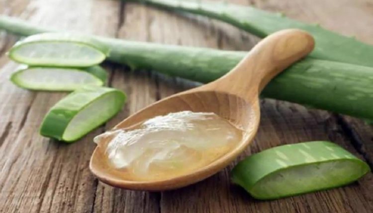 Image result for How to Treat Hemorrhoids or Piles