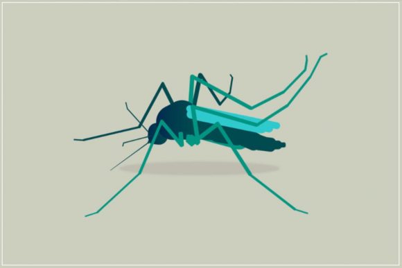 The Life-Threatening Complications of Malaria