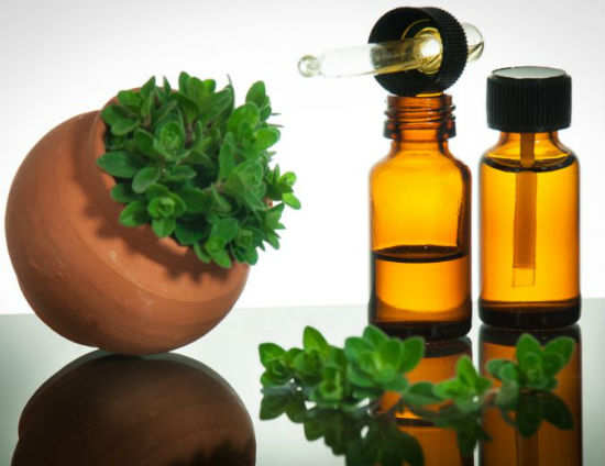 6 Ways Oregano Makes Your Immune System Strong 1