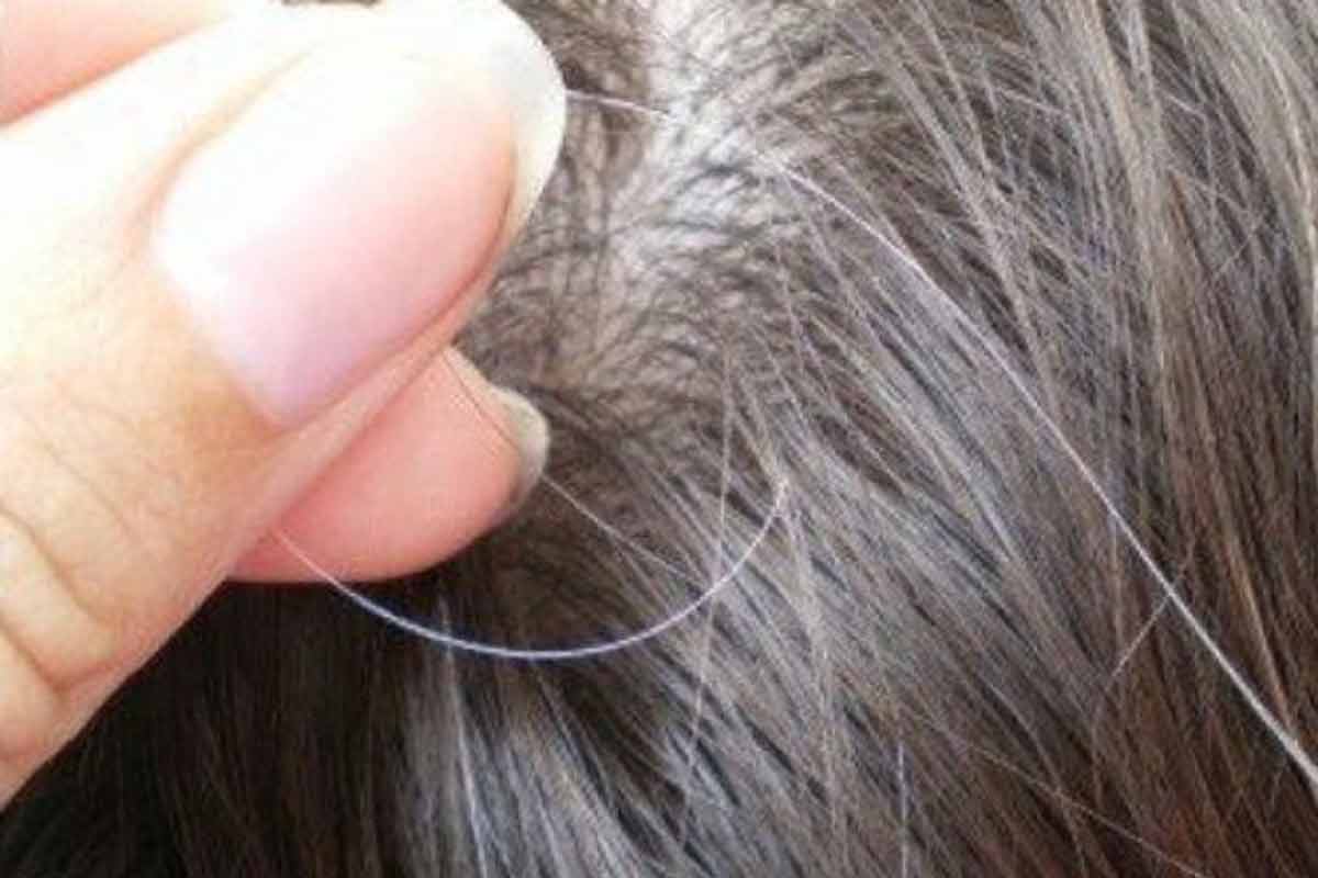 What Causes Gray Hair And How To Prevent It HTV